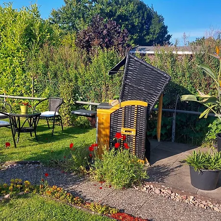 Gänseblümchen * Ribnitz-Damgarten